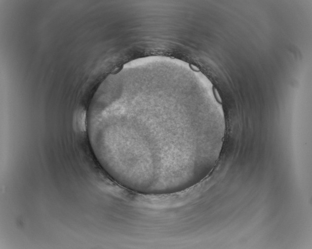 X0000112030041200908311224