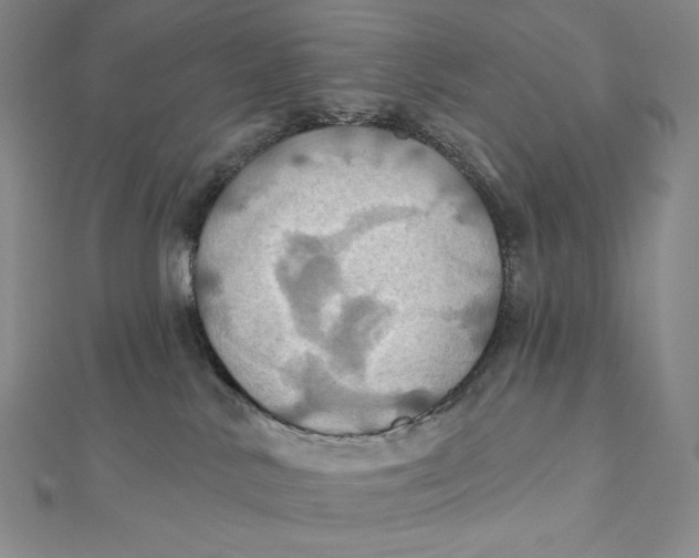X0000112030042200908311224