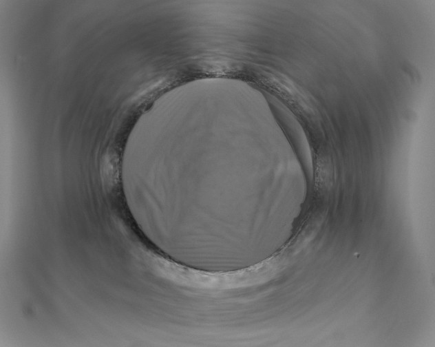 X0000112030043200908311224