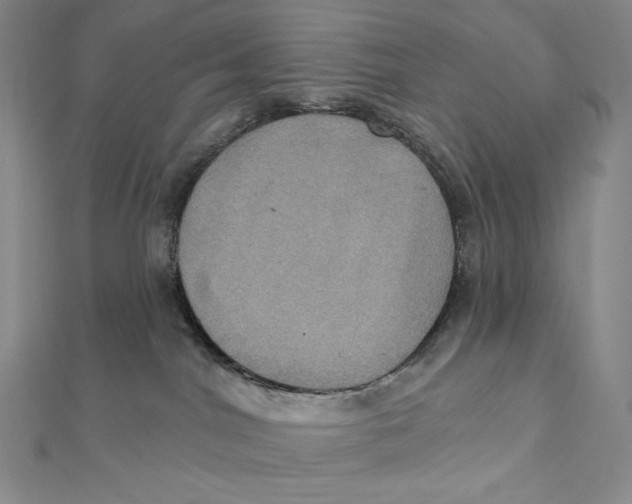 X0000112030044200908311224