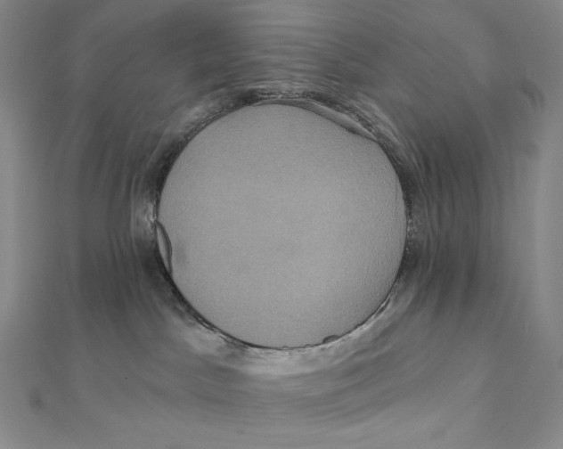 X0000112030045200908311224