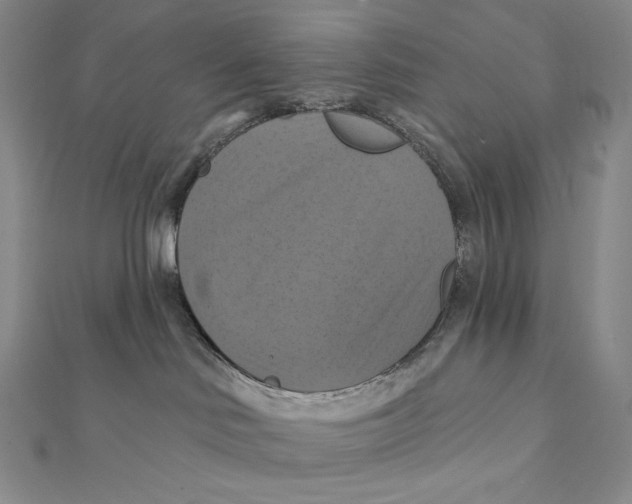 X0000112030046200908311224