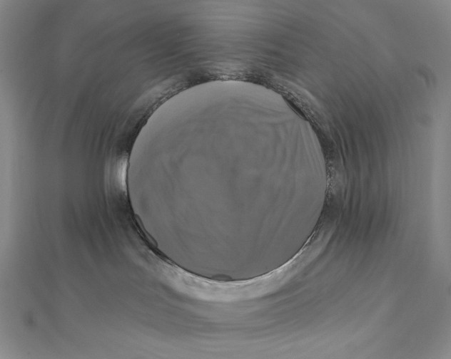X0000112030047200908311224