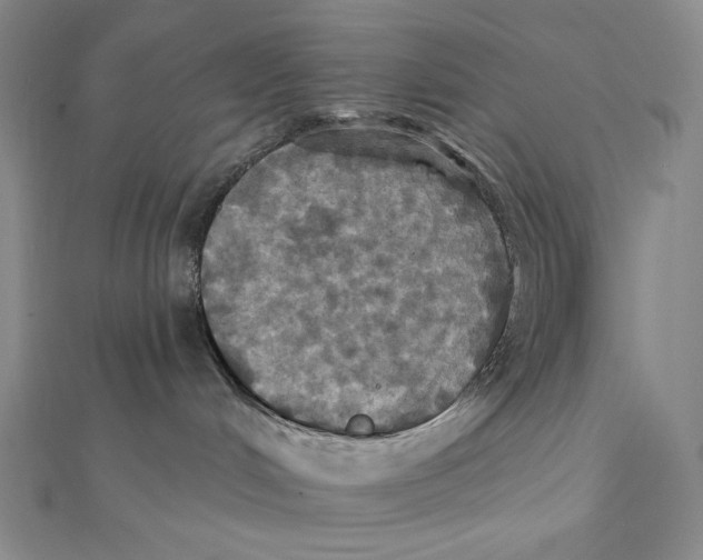 X0000112030048200908311224