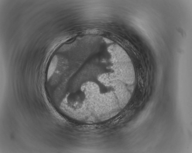 X0000112030049200908311224