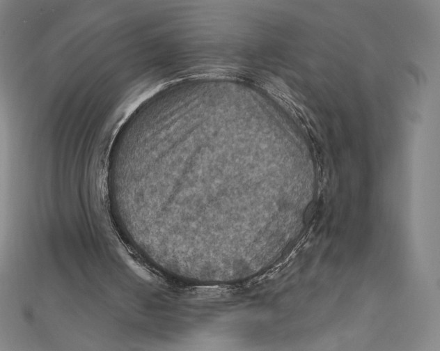 X0000112030050200908311224