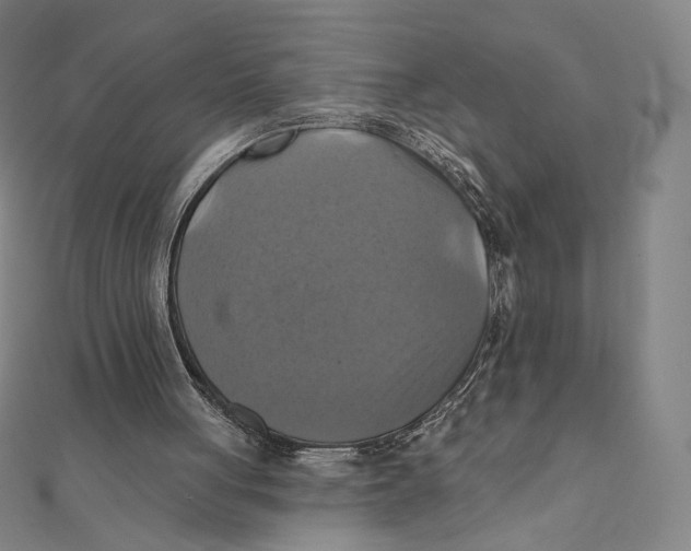 X0000112030051200908311224