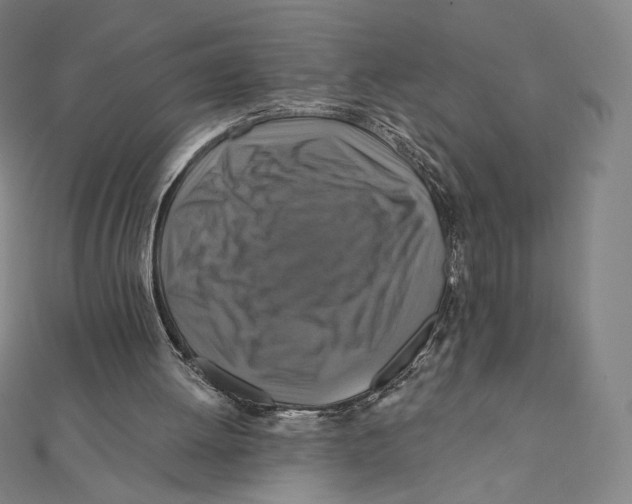 X0000112030052200908311224