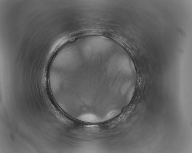 X0000112030053200908311224