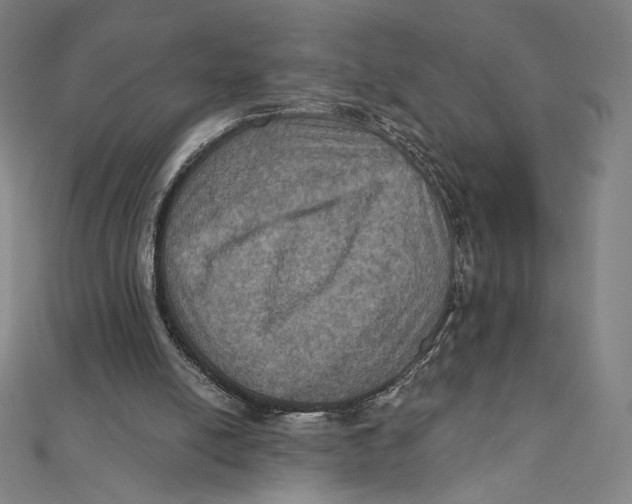 X0000112030054200908311224