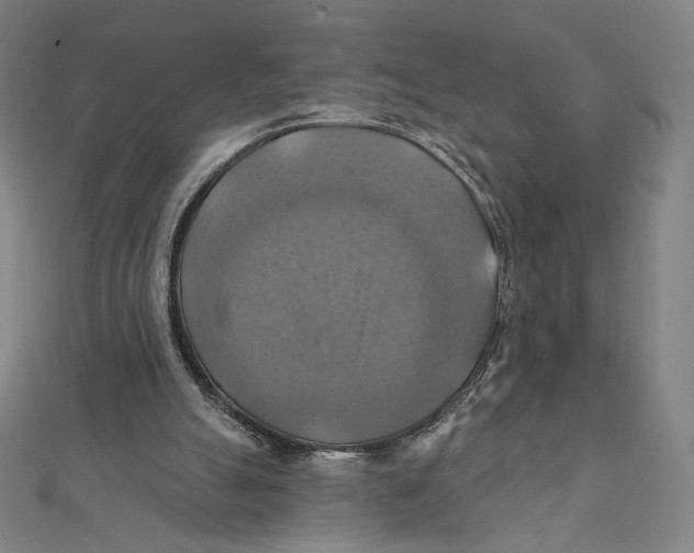 X0000112030055200908311224