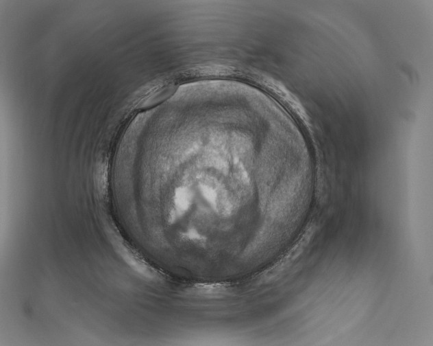 X0000112030057200908311224
