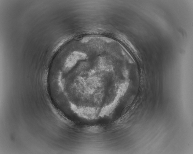X0000112030058200908311224