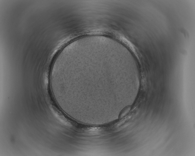 X0000112030059200908311224