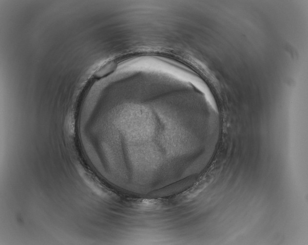 X0000112030060200908311224