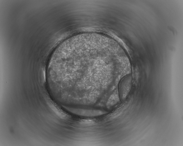 X0000112030061200908311224
