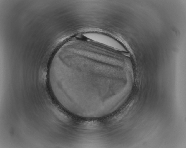 X0000112030063200908311224
