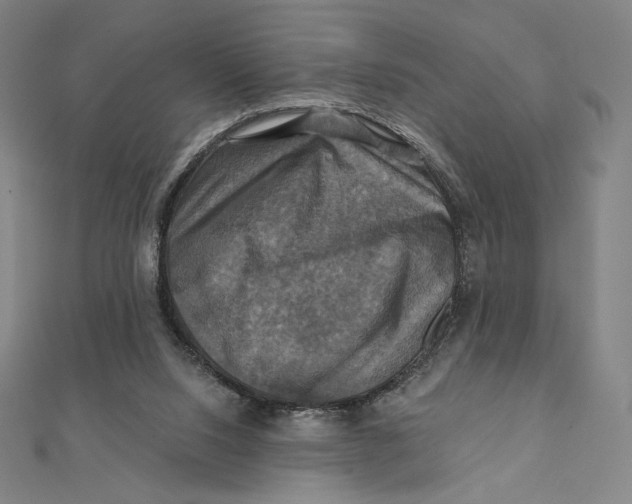 X0000112030064200908311224
