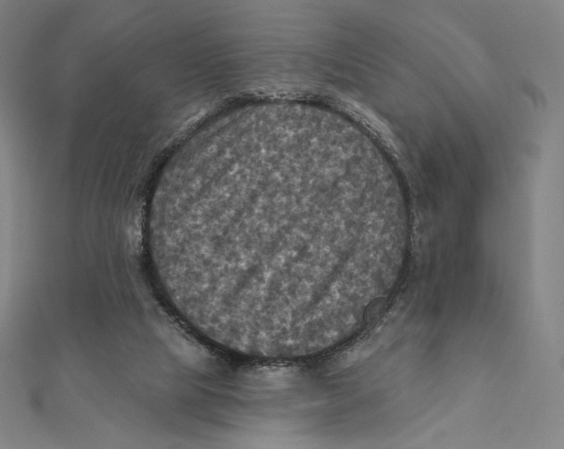 X0000112030065200908311224
