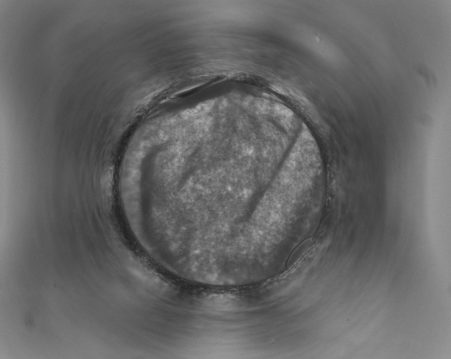 X0000112030066200908311224
