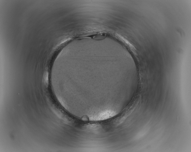 X0000112030067200908311224