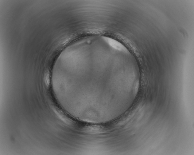 X0000112030069200908311224