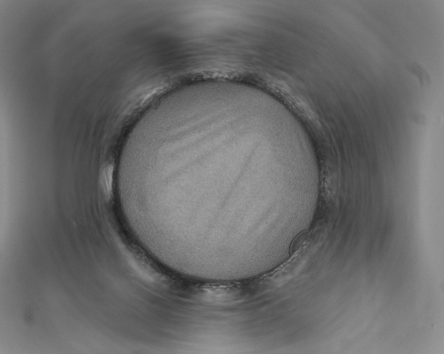 X0000112030070200908311224