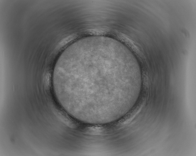 X0000112030071200908311224
