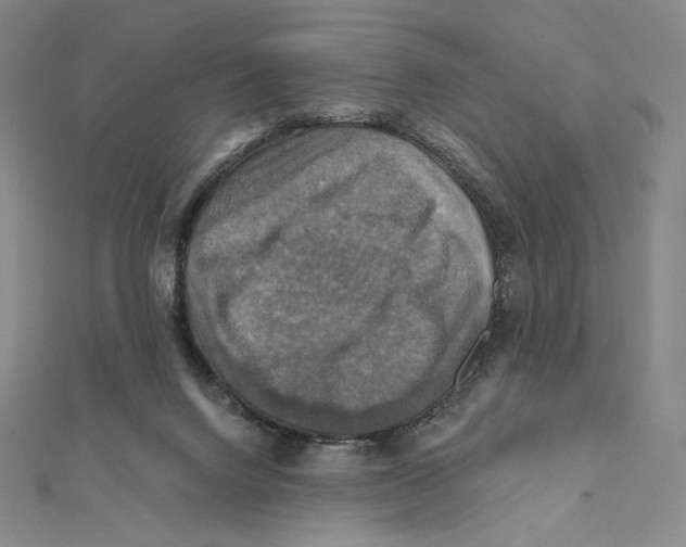 X0000112030072200908311224