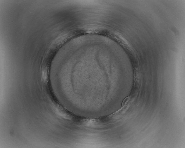 X0000112030074200908311224