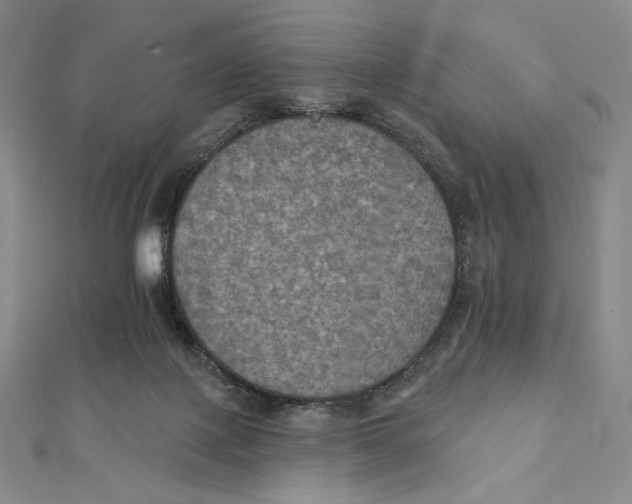 X0000112030075200908311224