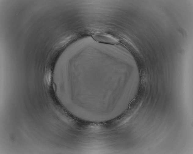 X0000112030076200908311224