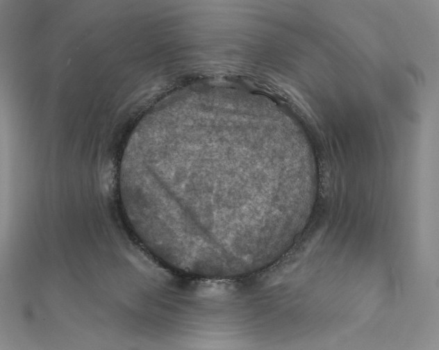 X0000112030077200908311224