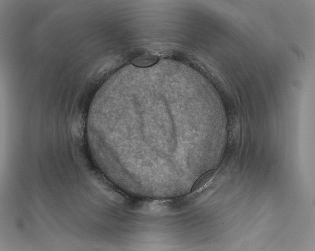 X0000112030078200908311224