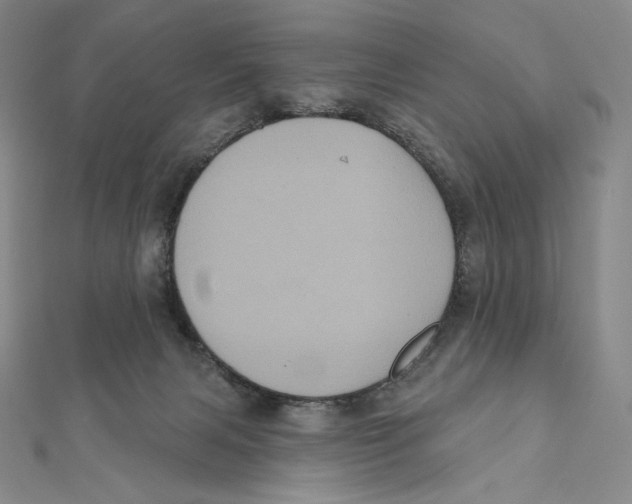 X0000112030079200908311224