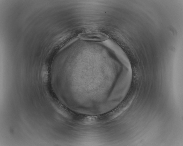 X0000112030080200908311224