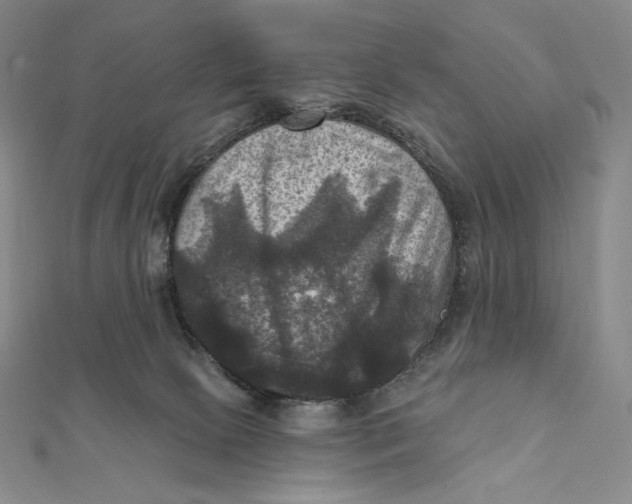 X0000112030081200908311224