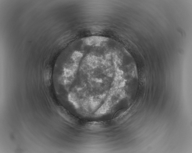 X0000112030082200908311224