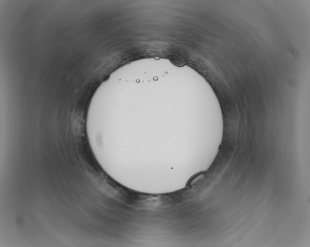 X0000112030083200908311224