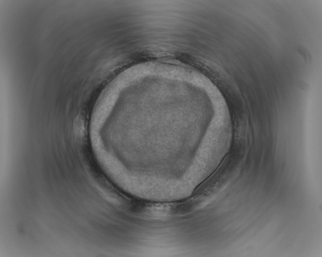 X0000112030084200908311224