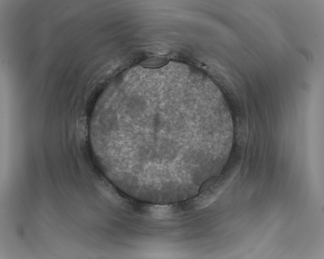 X0000112030085200908311224