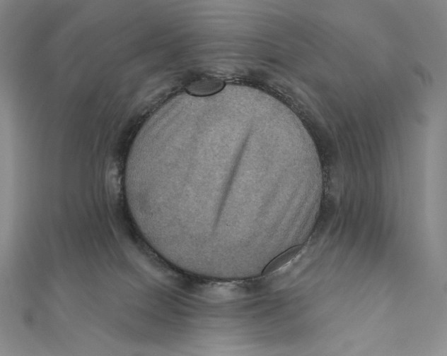 X0000112030086200908311224