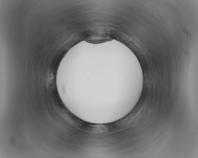 X0000112030087200908311224
