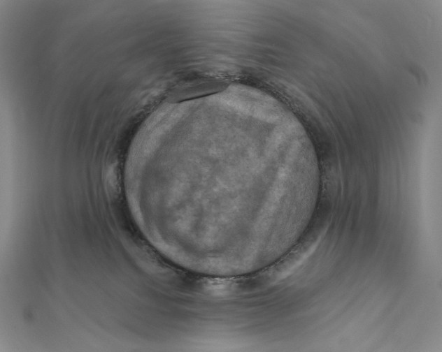 X0000112030088200908311224