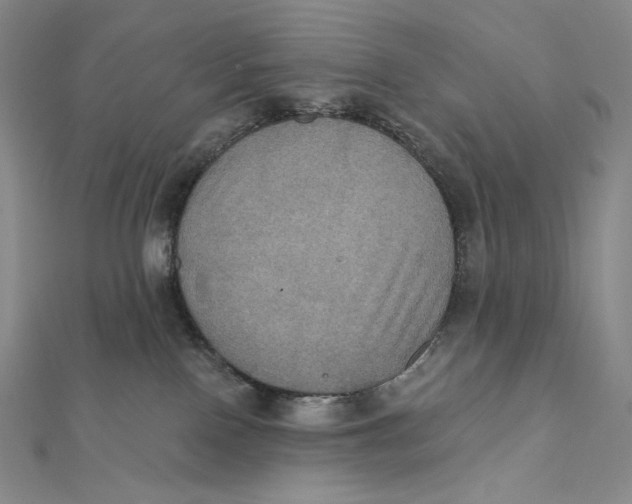 X0000112030090200908311224