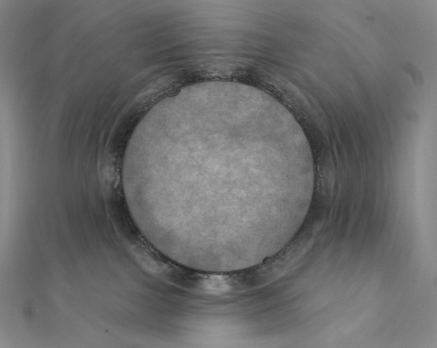 X0000112030091200908311224