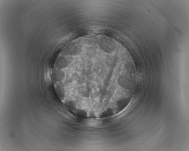 X0000112030094200908311224