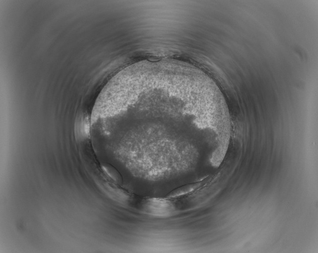X0000112030095200908311224