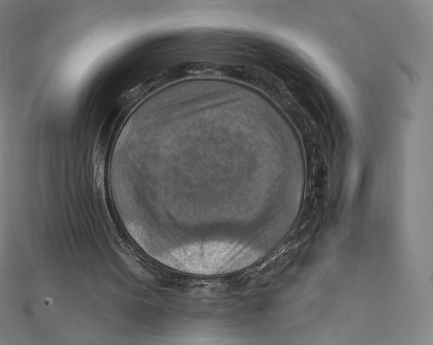 X0000112030099200908311224