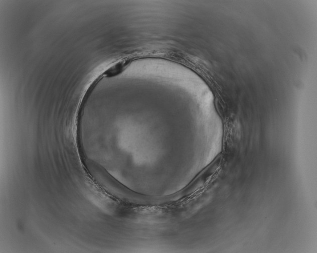 X0000112030100200908311224